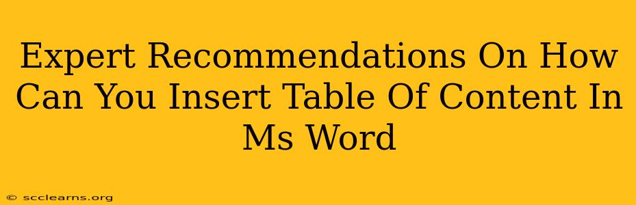 Expert Recommendations On How Can You Insert Table Of Content In Ms Word