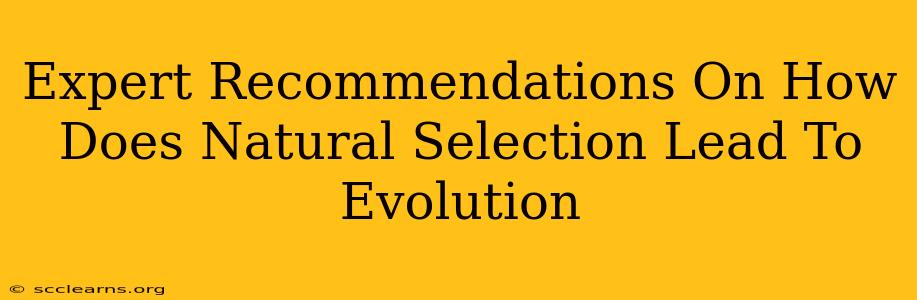 Expert Recommendations On How Does Natural Selection Lead To Evolution