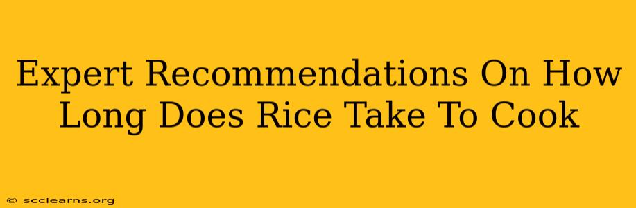 Expert Recommendations On How Long Does Rice Take To Cook