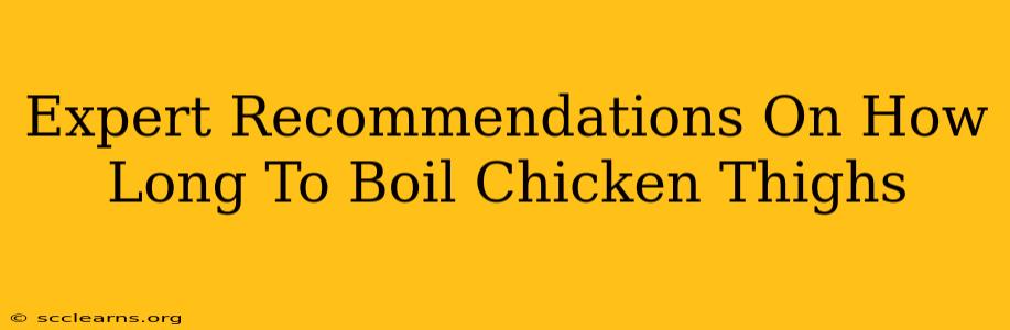 Expert Recommendations On How Long To Boil Chicken Thighs