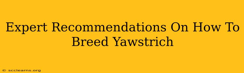 Expert Recommendations On How To Breed Yawstrich