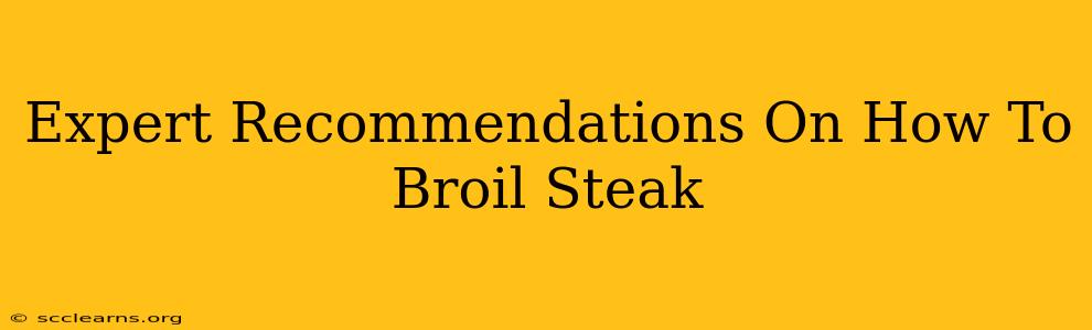 Expert Recommendations On How To Broil Steak