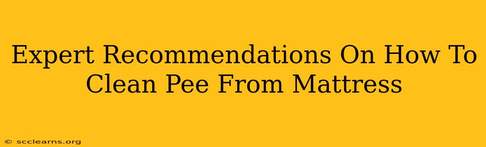 Expert Recommendations On How To Clean Pee From Mattress