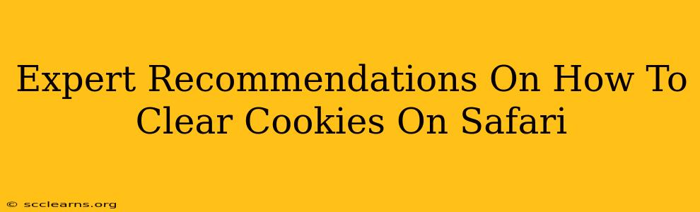 Expert Recommendations On How To Clear Cookies On Safari