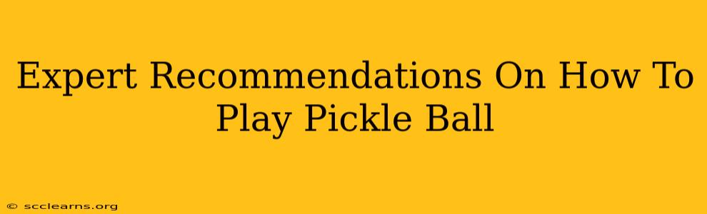 Expert Recommendations On How To Play Pickle Ball