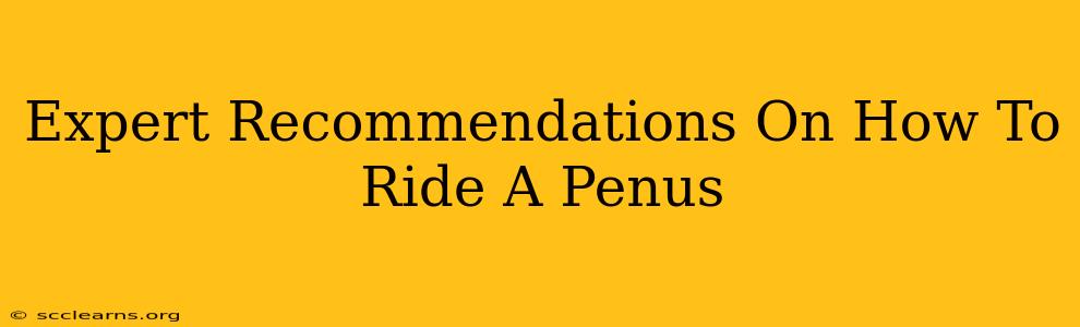 Expert Recommendations On How To Ride A Penus