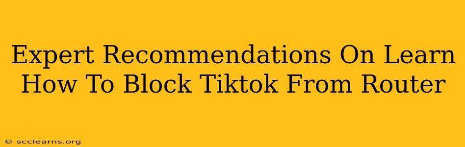 Expert Recommendations On Learn How To Block Tiktok From Router