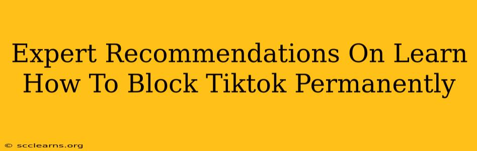 Expert Recommendations On Learn How To Block Tiktok Permanently