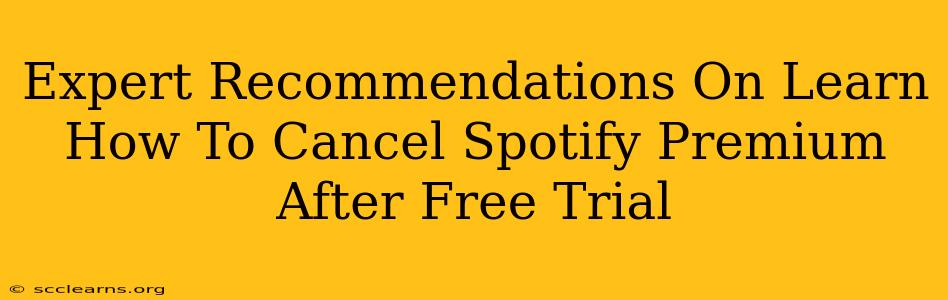 Expert Recommendations On Learn How To Cancel Spotify Premium After Free Trial