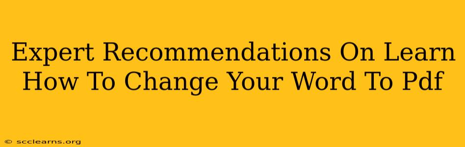 Expert Recommendations On Learn How To Change Your Word To Pdf