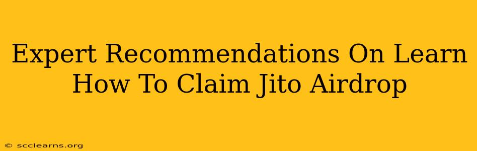 Expert Recommendations On Learn How To Claim Jito Airdrop