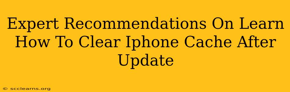 Expert Recommendations On Learn How To Clear Iphone Cache After Update