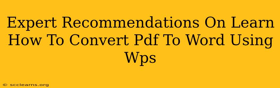 Expert Recommendations On Learn How To Convert Pdf To Word Using Wps