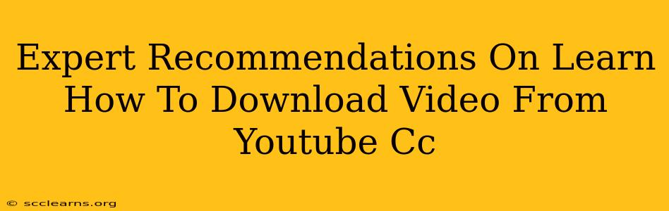 Expert Recommendations On Learn How To Download Video From Youtube Cc