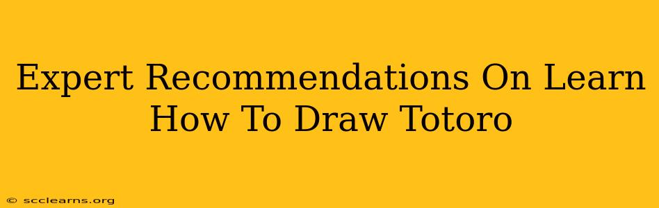 Expert Recommendations On Learn How To Draw Totoro