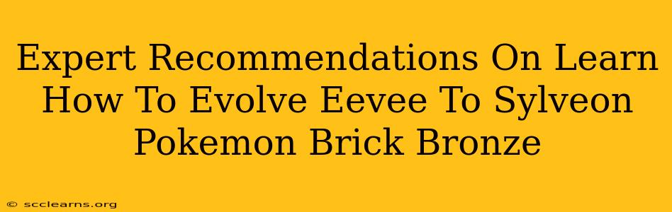 Expert Recommendations On Learn How To Evolve Eevee To Sylveon Pokemon Brick Bronze