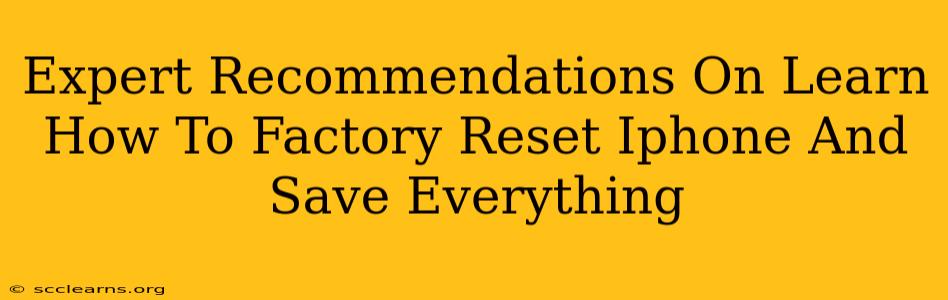 Expert Recommendations On Learn How To Factory Reset Iphone And Save Everything