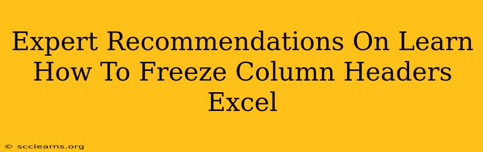 Expert Recommendations On Learn How To Freeze Column Headers Excel