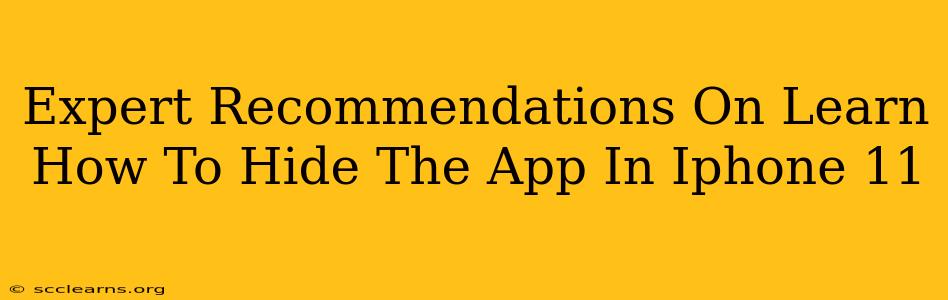 Expert Recommendations On Learn How To Hide The App In Iphone 11