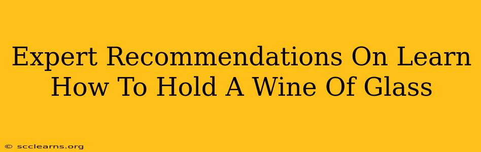 Expert Recommendations On Learn How To Hold A Wine Of Glass