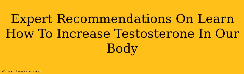 Expert Recommendations On Learn How To Increase Testosterone In Our Body