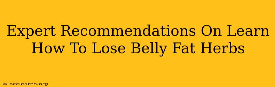 Expert Recommendations On Learn How To Lose Belly Fat Herbs