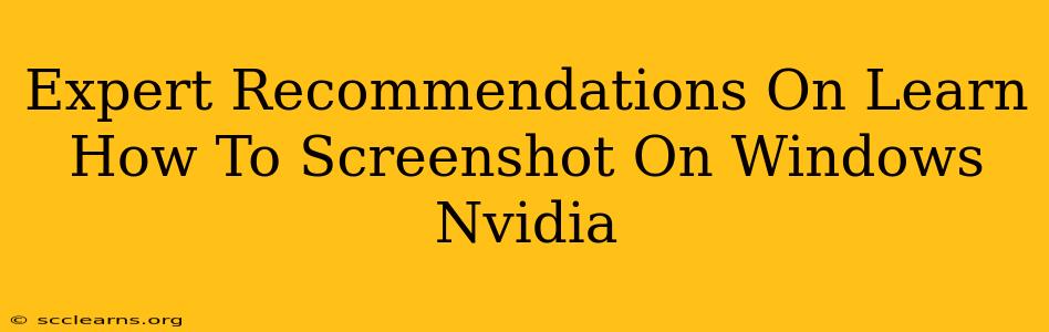 Expert Recommendations On Learn How To Screenshot On Windows Nvidia