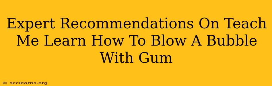 Expert Recommendations On Teach Me Learn How To Blow A Bubble With Gum