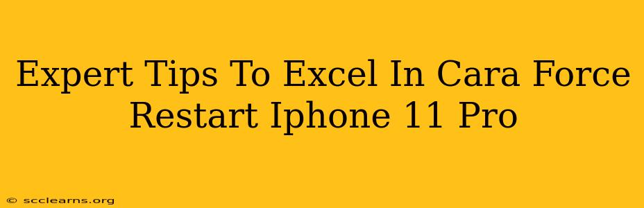 Expert Tips To Excel In Cara Force Restart Iphone 11 Pro