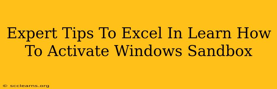 Expert Tips To Excel In Learn How To Activate Windows Sandbox