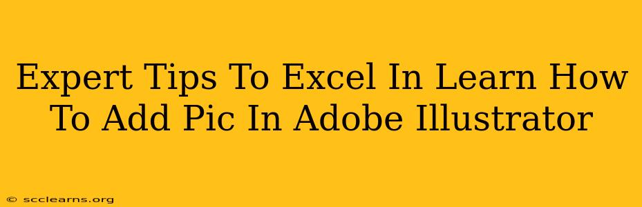 Expert Tips To Excel In Learn How To Add Pic In Adobe Illustrator