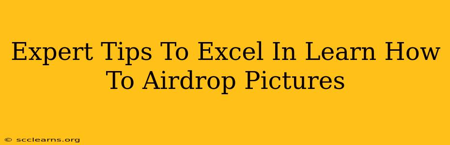 Expert Tips To Excel In Learn How To Airdrop Pictures