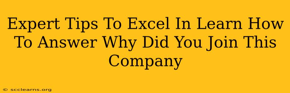 Expert Tips To Excel In Learn How To Answer Why Did You Join This Company