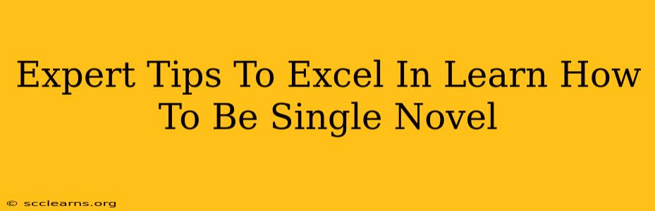 Expert Tips To Excel In Learn How To Be Single Novel