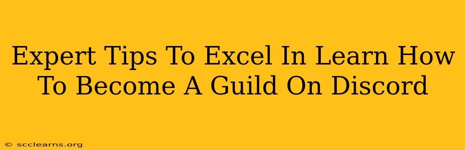 Expert Tips To Excel In Learn How To Become A Guild On Discord