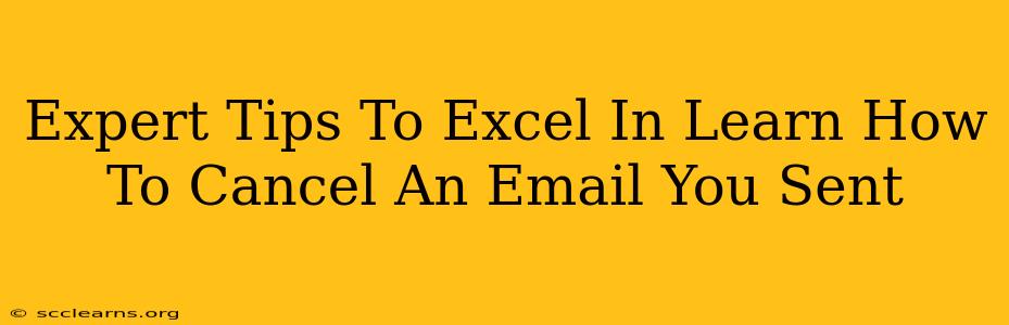 Expert Tips To Excel In Learn How To Cancel An Email You Sent