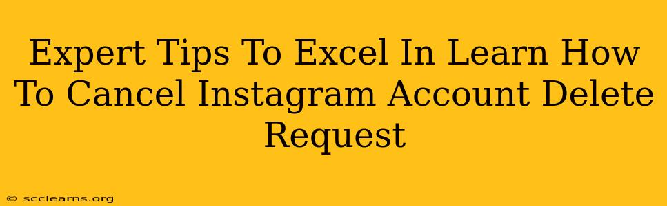 Expert Tips To Excel In Learn How To Cancel Instagram Account Delete Request