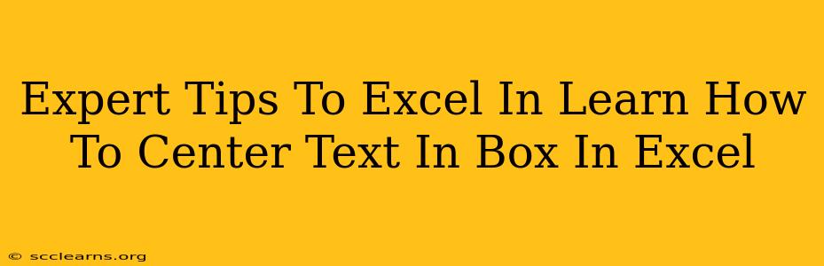 Expert Tips To Excel In Learn How To Center Text In Box In Excel