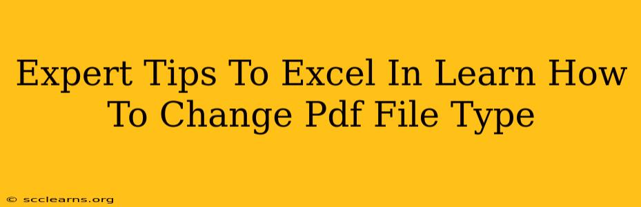 Expert Tips To Excel In Learn How To Change Pdf File Type