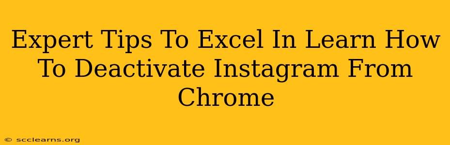 Expert Tips To Excel In Learn How To Deactivate Instagram From Chrome