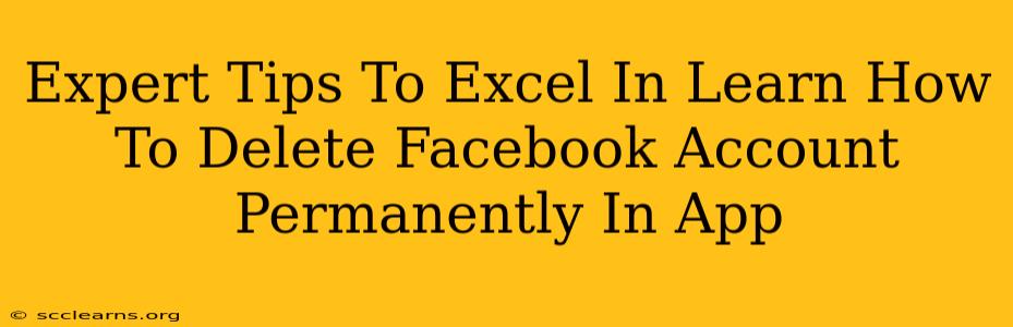 Expert Tips To Excel In Learn How To Delete Facebook Account Permanently In App