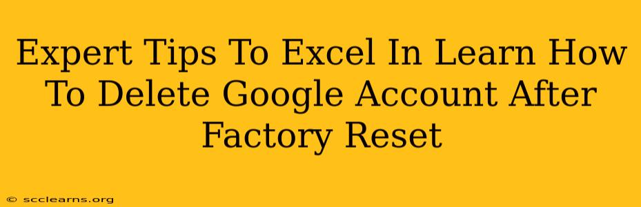 Expert Tips To Excel In Learn How To Delete Google Account After Factory Reset