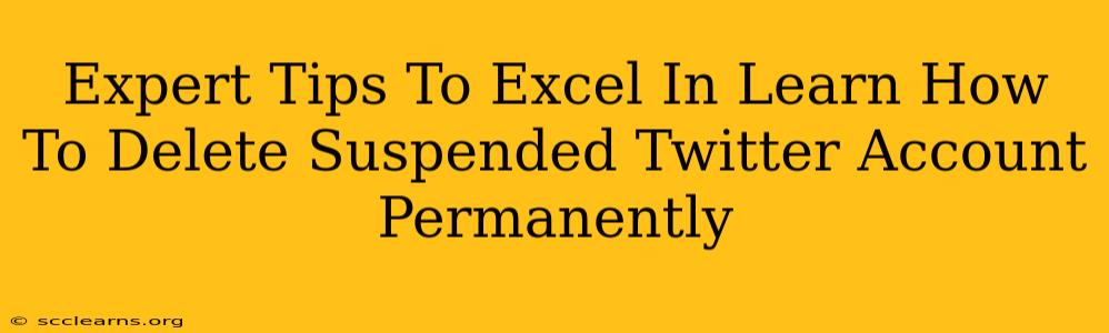 Expert Tips To Excel In Learn How To Delete Suspended Twitter Account Permanently