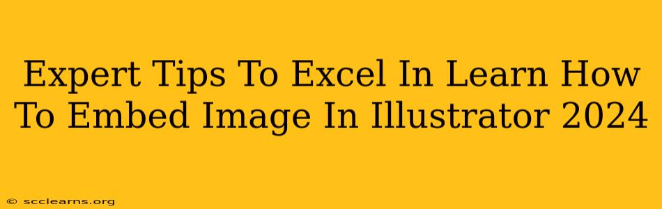 Expert Tips To Excel In Learn How To Embed Image In Illustrator 2024