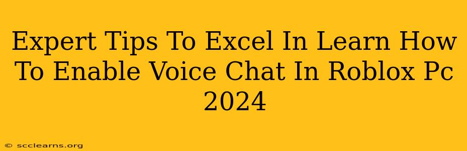 Expert Tips To Excel In Learn How To Enable Voice Chat In Roblox Pc 2024