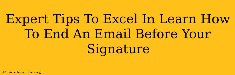 Expert Tips To Excel In Learn How To End An Email Before Your Signature