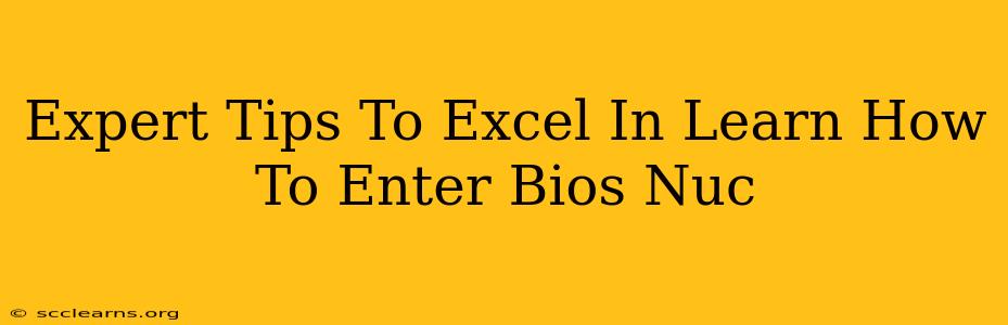 Expert Tips To Excel In Learn How To Enter Bios Nuc