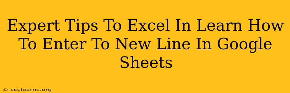 Expert Tips To Excel In Learn How To Enter To New Line In Google Sheets