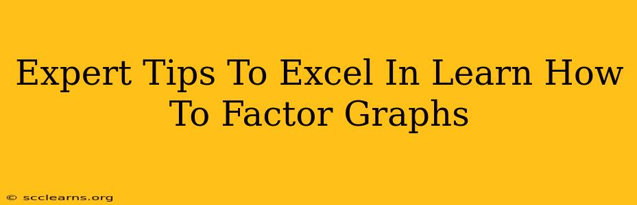 Expert Tips To Excel In Learn How To Factor Graphs