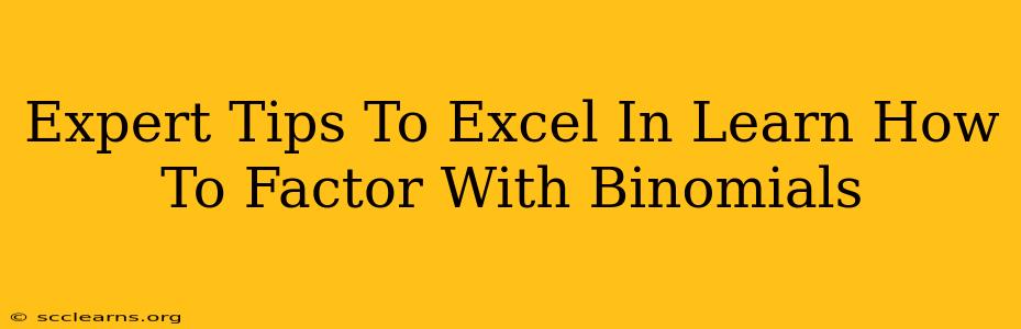 Expert Tips To Excel In Learn How To Factor With Binomials